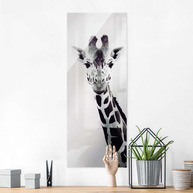 Glas Magnettafel Giraffe Portrait In Black And White
