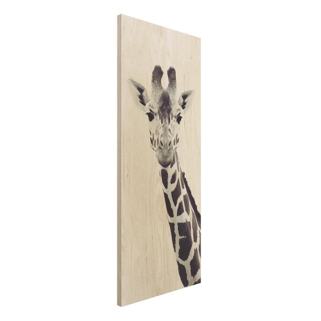 Wood print - Giraffe Portrait In Black And White