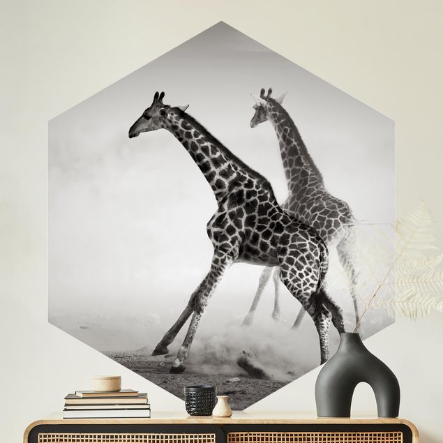 Wallpapers Giraffe Hunt