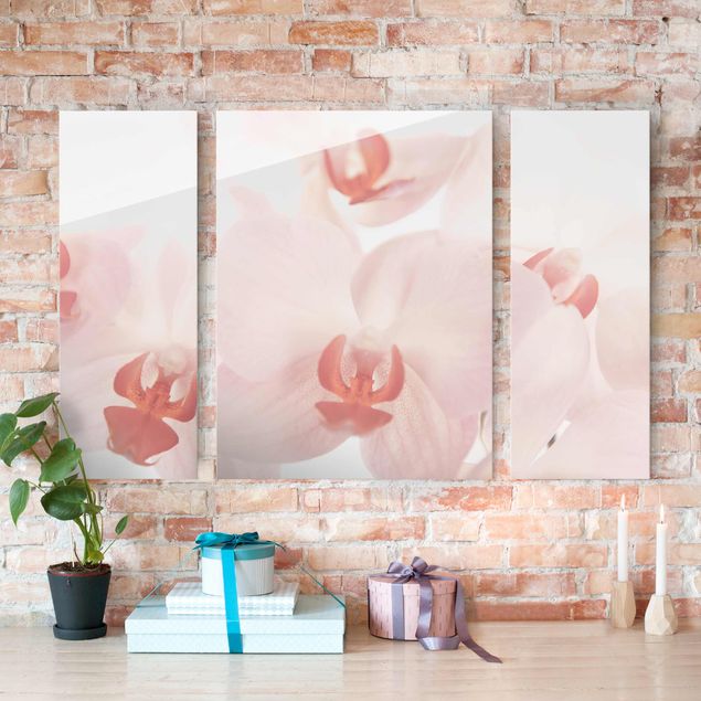Magnettafel Glas Bright Orchid Flower Wallpaper - Svelte Orchids