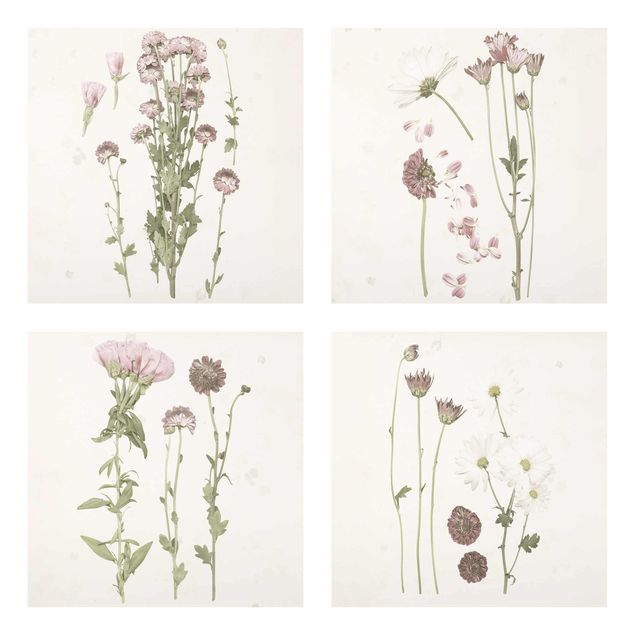 Glass print 4 parts - Herbarium In Pink Set I