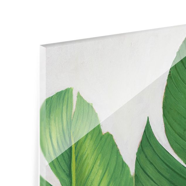 Glass print 4 parts - Favorite Plants Tropical Set I
