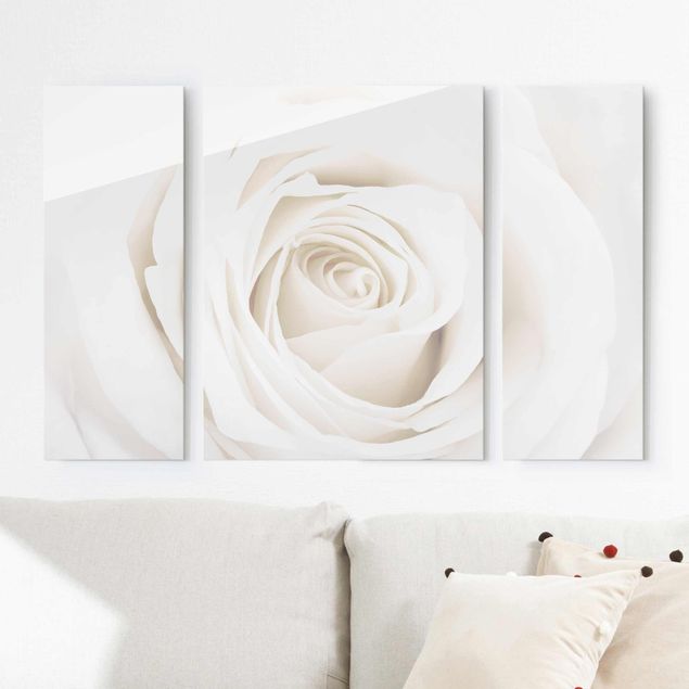Glass print 3 parts - Pretty White Rose