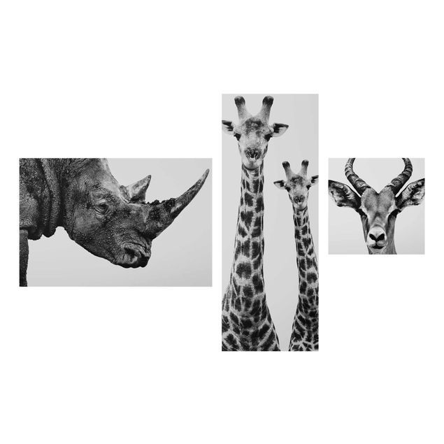 Glass print 3 parts - Safari Trilogy II