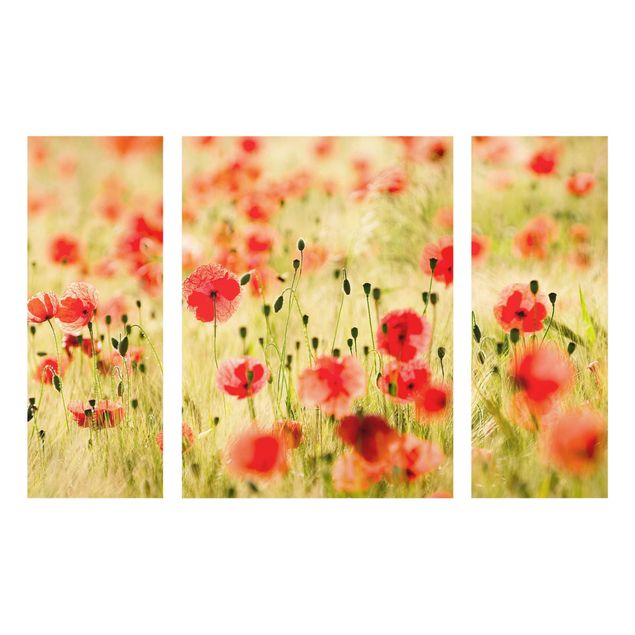 Glass print 3 parts - Summer Poppies