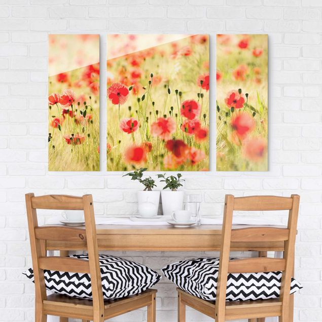 Glass print 3 parts - Summer Poppies