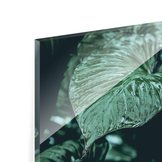 Glass print 4 parts - Tropical Plants
