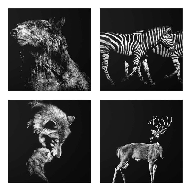 Glass print 4 parts - Wild Animals From Black Set I