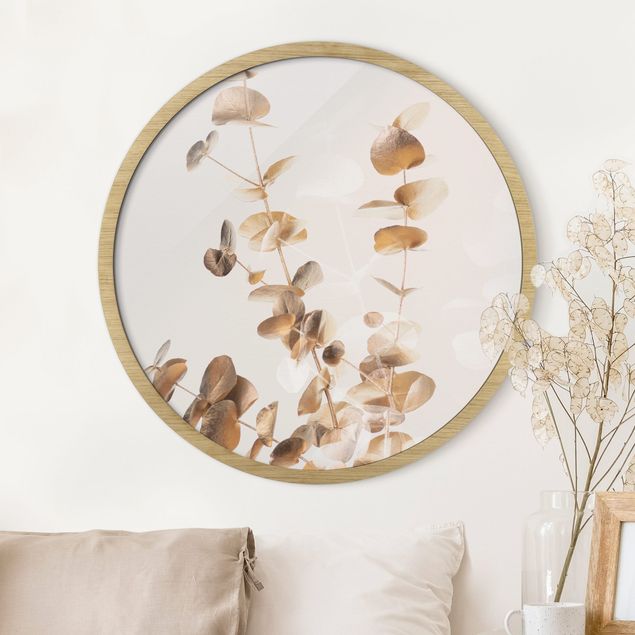 Framed prints round Golden Eucalyptus With White