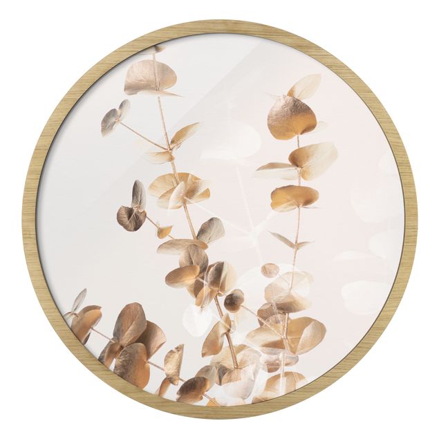 Circular framed print - Golden Eucalyptus With White