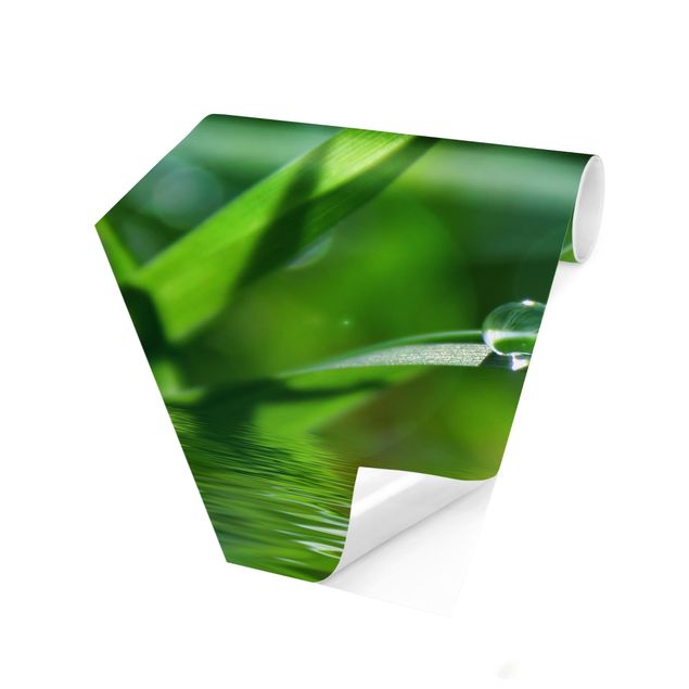 Self-adhesive hexagonal pattern wallpaper - Green Ambiance II