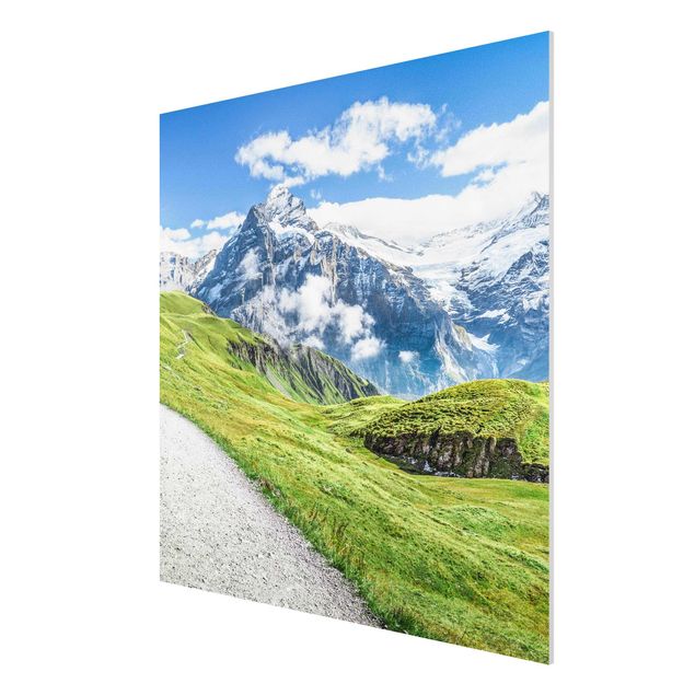 Print on forex - Grindelwald Panorama - Square 1:1