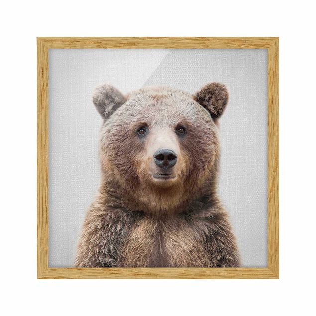 Framed poster - Grizzly Bear Gustel