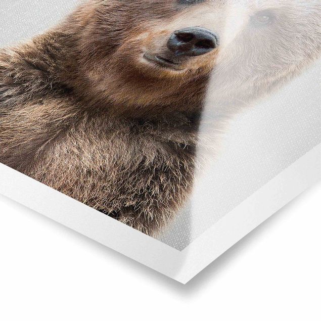 Poster art print - Grizzly Bear Gustel