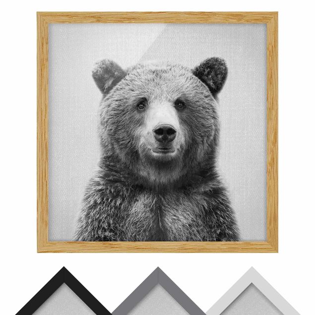 Framed poster - Grizzly Bear Gustel Black And White