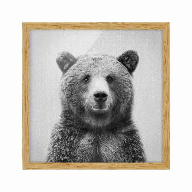 Framed poster - Grizzly Bear Gustel Black And White