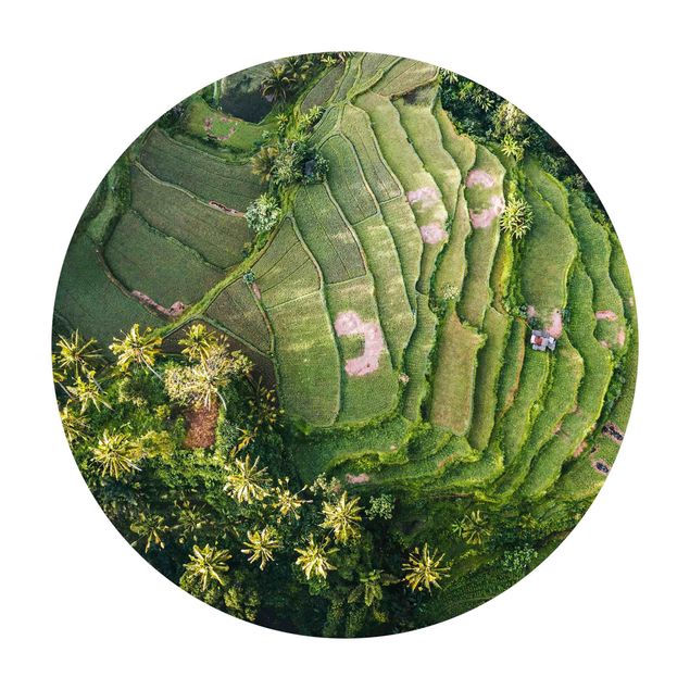 Round rugs Green Terraces