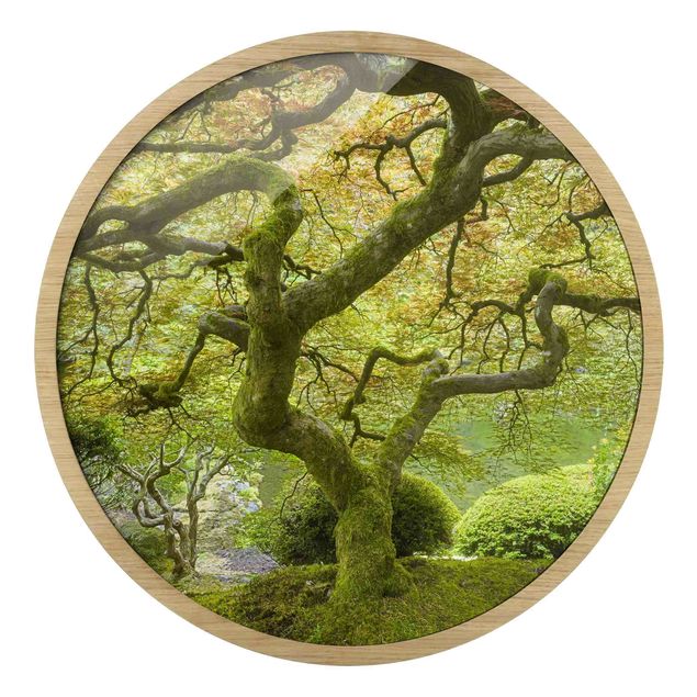 Circular framed print - Green Japanese Garden