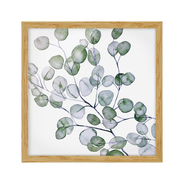 Framed poster - Green Watercolour Eucalyptus Branch
