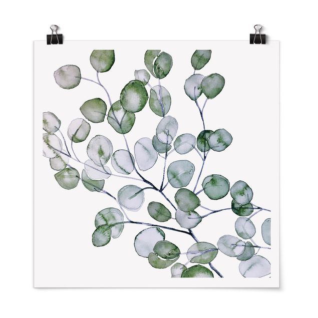 Poster - Green Watercolour Eucalyptus Branch