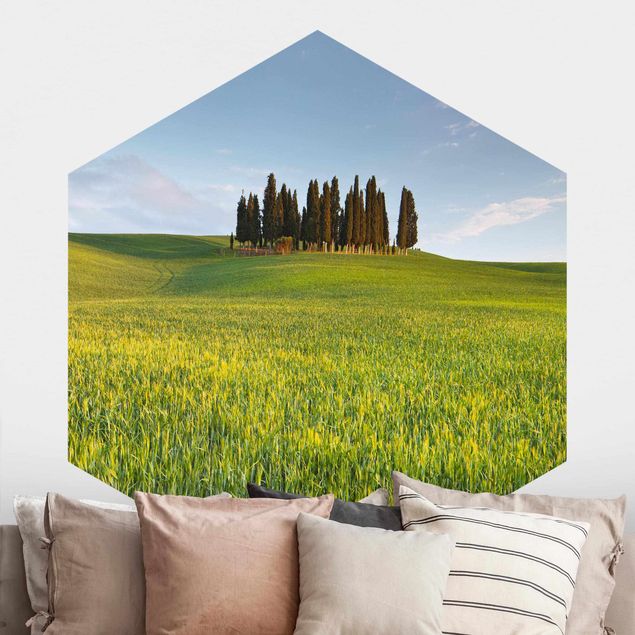 Hexagonal wall mural Green Field In Tuscany