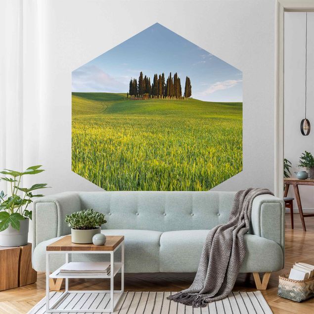 Self-adhesive hexagonal pattern wallpaper - Green Field In Tuscany