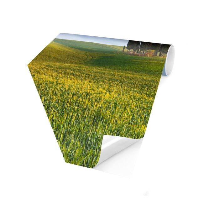 Self-adhesive hexagonal pattern wallpaper - Green Field In Tuscany