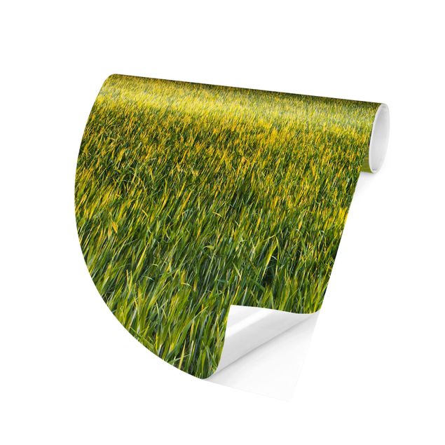 Self-adhesive round wallpaper - Green Field In Tuscany