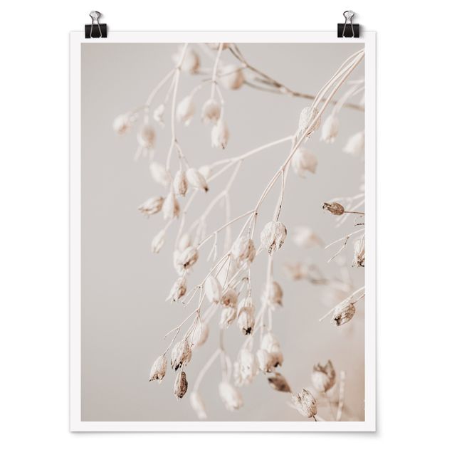 Poster - Hanging Dried Buds