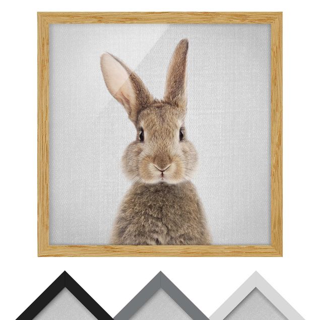 Framed poster - Hare Hilbert