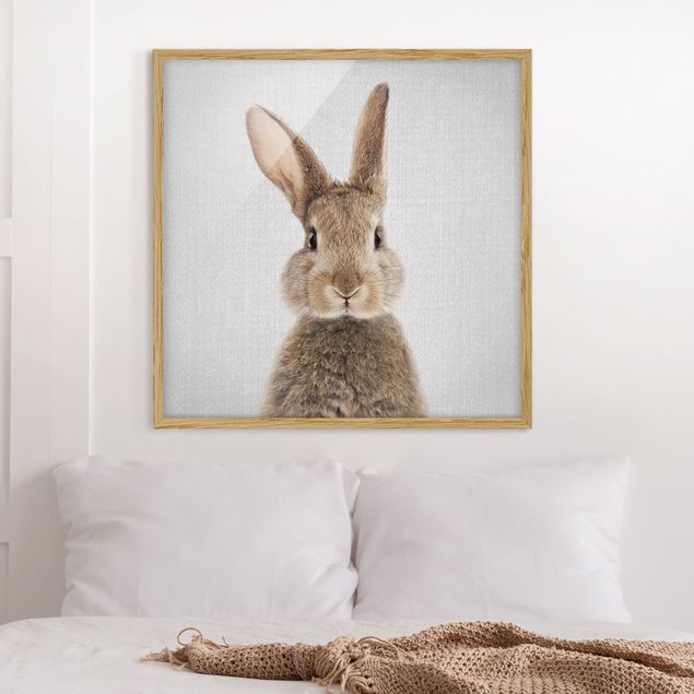 Framed poster - Hare Hilbert