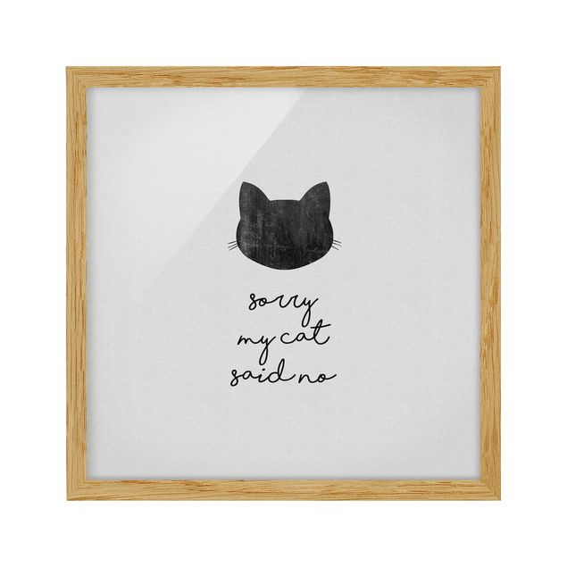 Framed poster - Pet Quote Sorry My Cat Said No