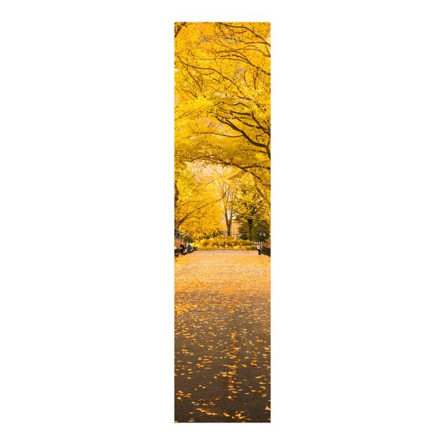 Schiebegardinen Set - Herbst im Central Park - Flächenvorhang