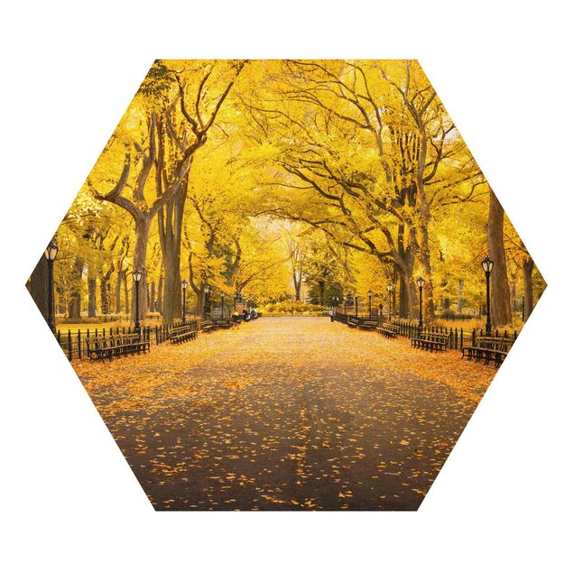 Alu-Dibond hexagon - Autumn In Central Park