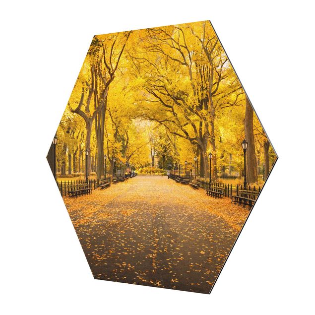 Alu-Dibond hexagon - Autumn In Central Park