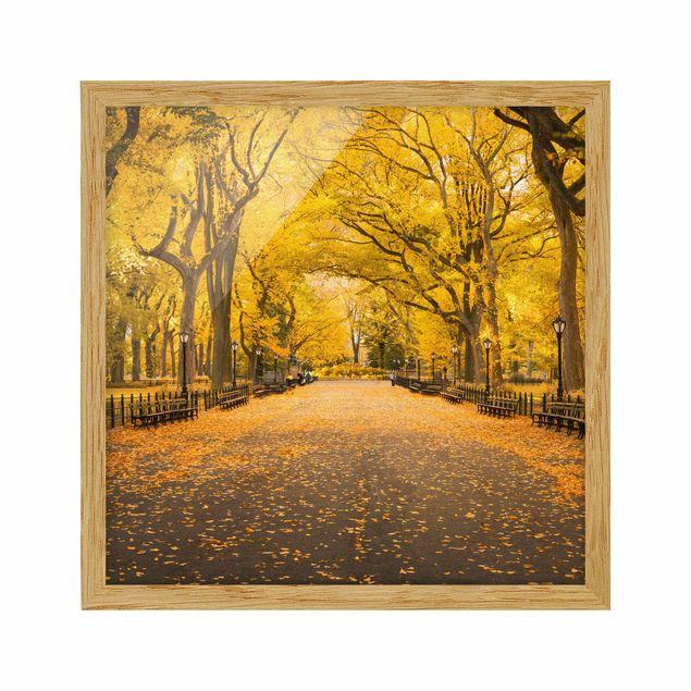 Framed poster - Autumn In Central Park
