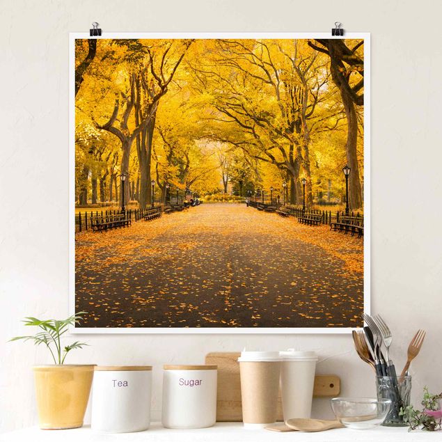 Poster - Autumn In Central Park
