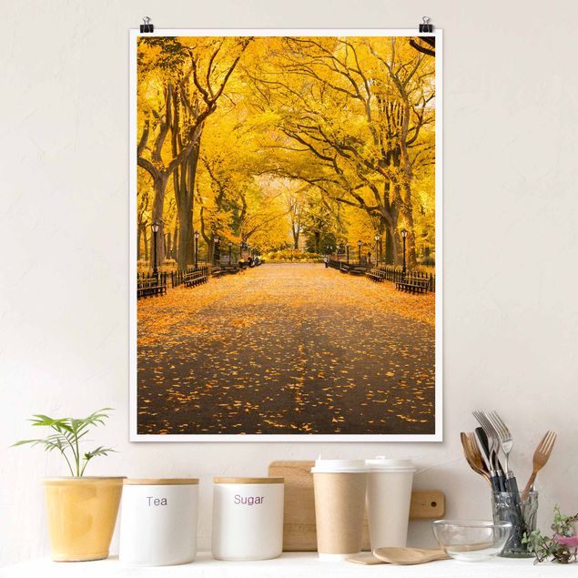 Poster - Autumn In Central Park