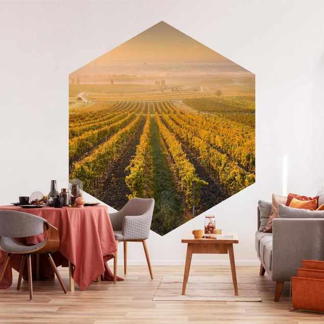 Self-adhesive hexagonal pattern wallpaper - Autumnal Vineyards Near Vienna