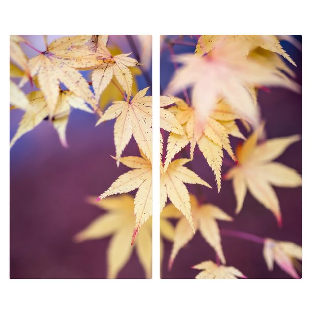 Stove top covers - Autumn Maple Tree