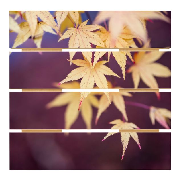 Print on wood - Autumn Maple Tree