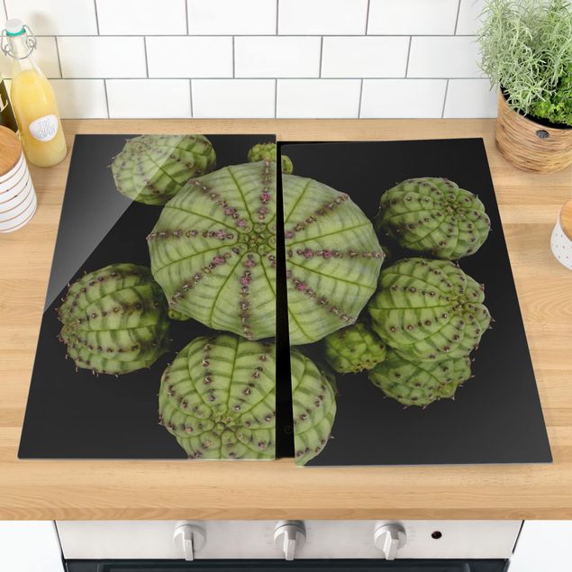 Glass stove top cover - Euphorbia - Spurge Urchins