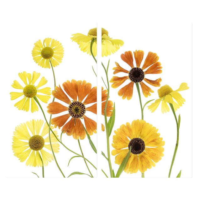 Glass stove top cover - Helenium