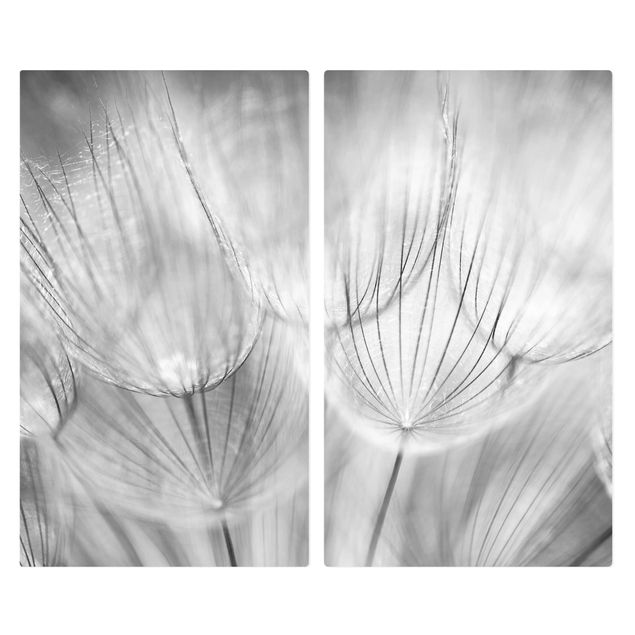 Glass stove top cover - Dandelions Macro Shot In Black And White