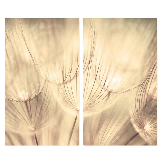 Glass stove top cover - Dandelions Close-Up In Cozy Sepia Tones