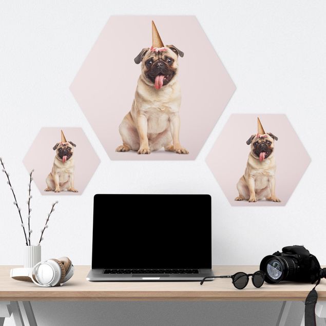 Forex hexagon - Pug With Ice-Cream Cone