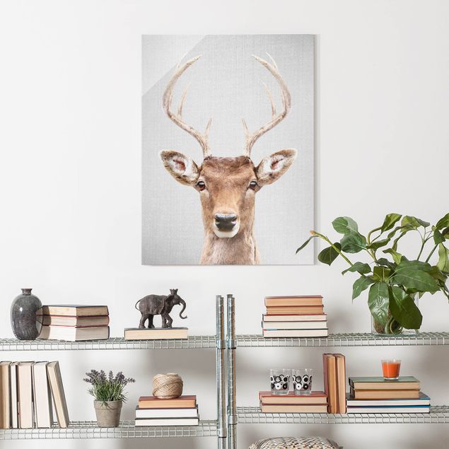 Glass print - Deer Heinrich