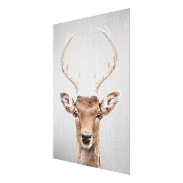 Glass print - Deer Heinrich