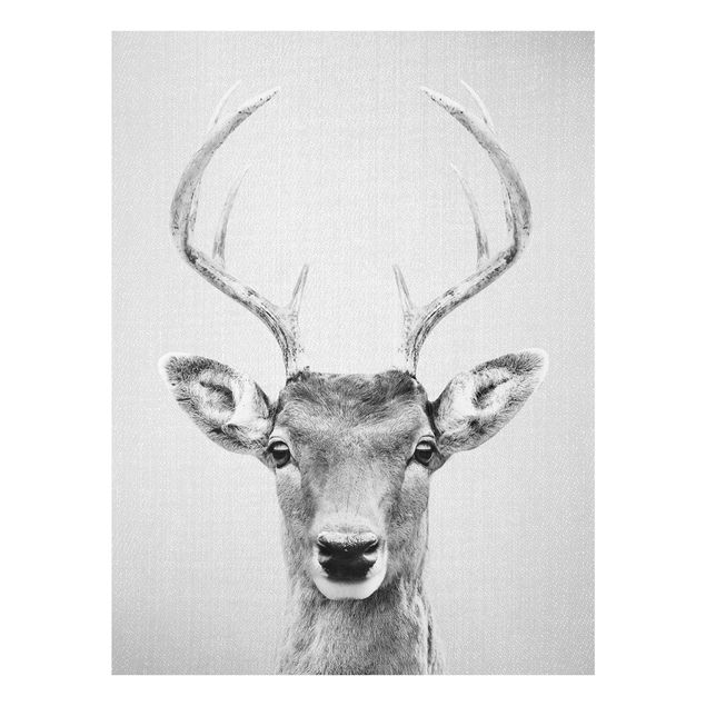 Glass print - Deer Heinrich Black And White