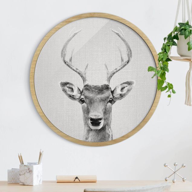Framed prints round Deer Heinrich Black And White